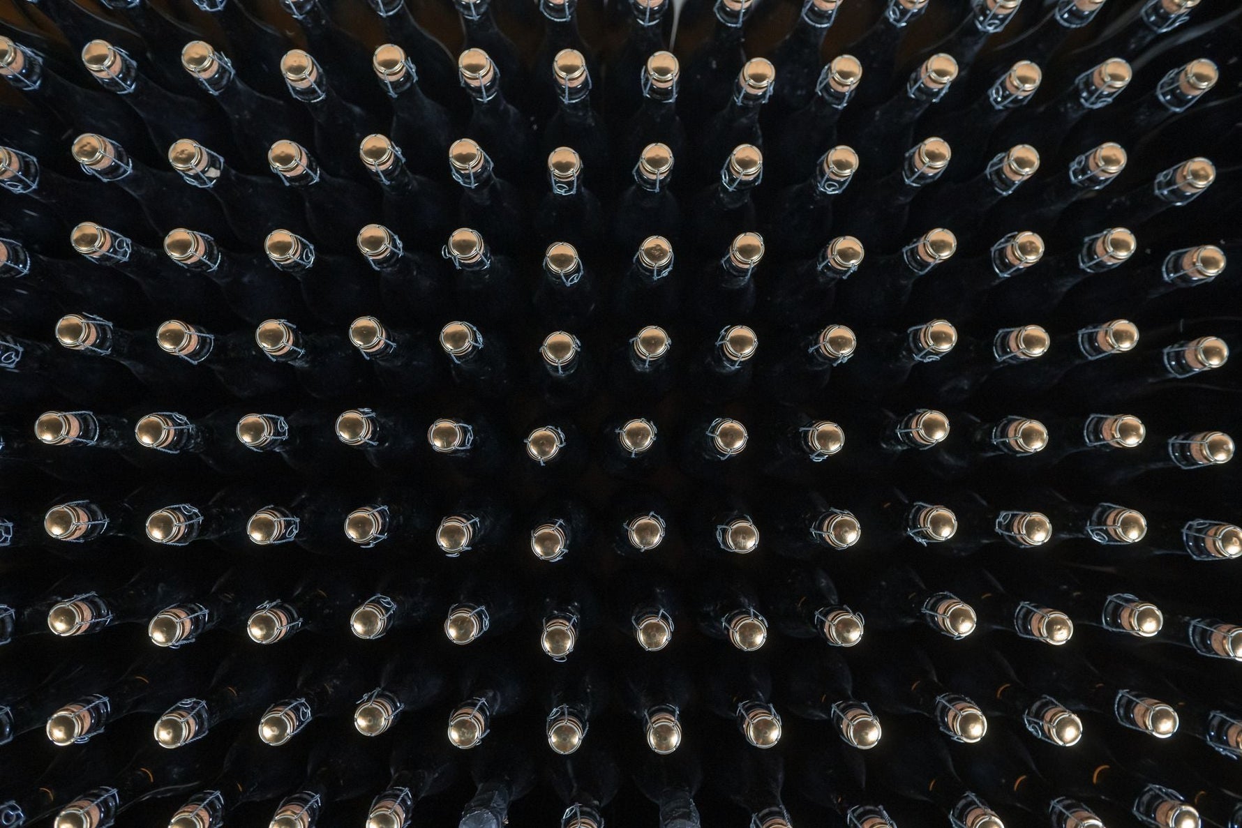 Sektgrundwein / Sektherstellung · Schritt #1