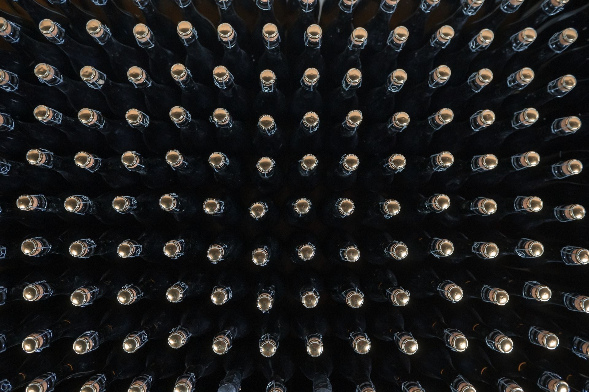Sektgrundwein / Sektherstellung · Schritt #1