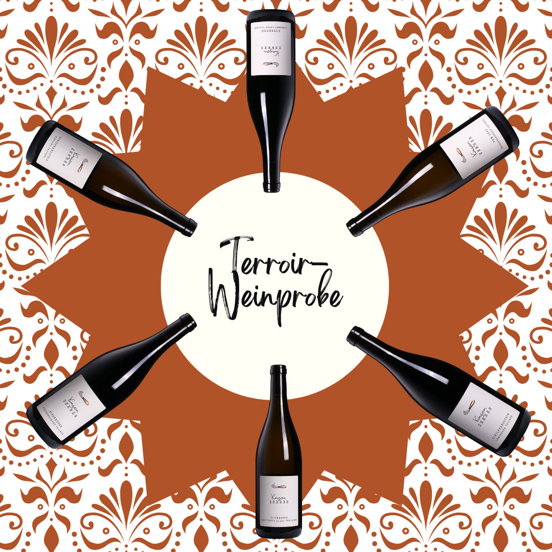Terroir-Weinprobe