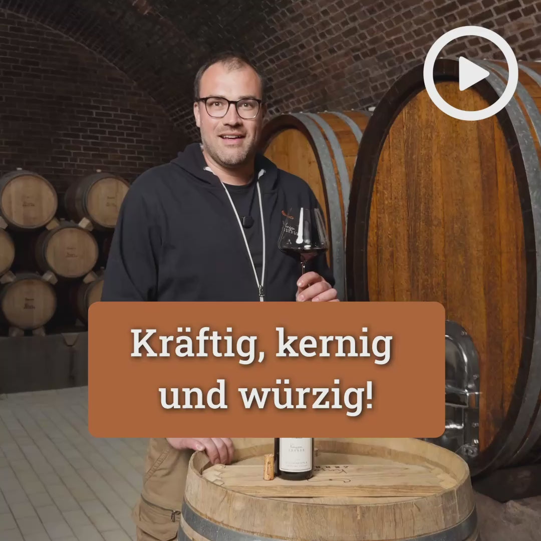 Produktvideo SCHILFSANDSTEIN Lemberger trocken